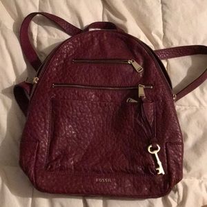Wine Fossil Backpack